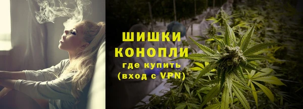 прущие грибы Богданович