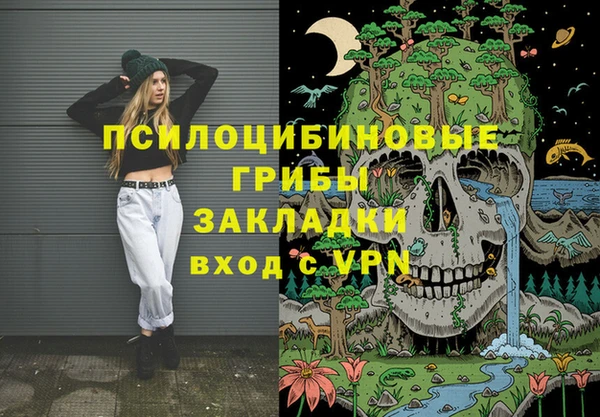 хмурый Богородск
