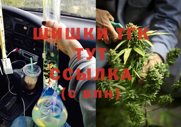 прущие грибы Богданович