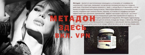прущие грибы Богданович