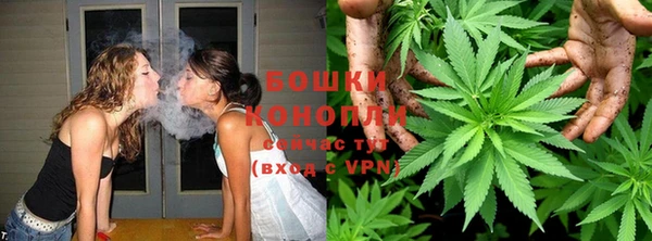 бошки Лагань