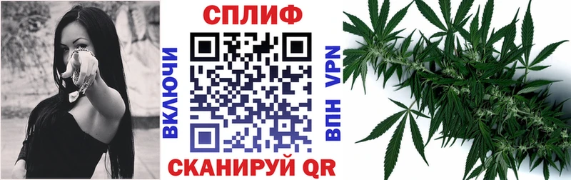 где можно купить наркотик  Вилючинск  Бошки марихуана тримм 